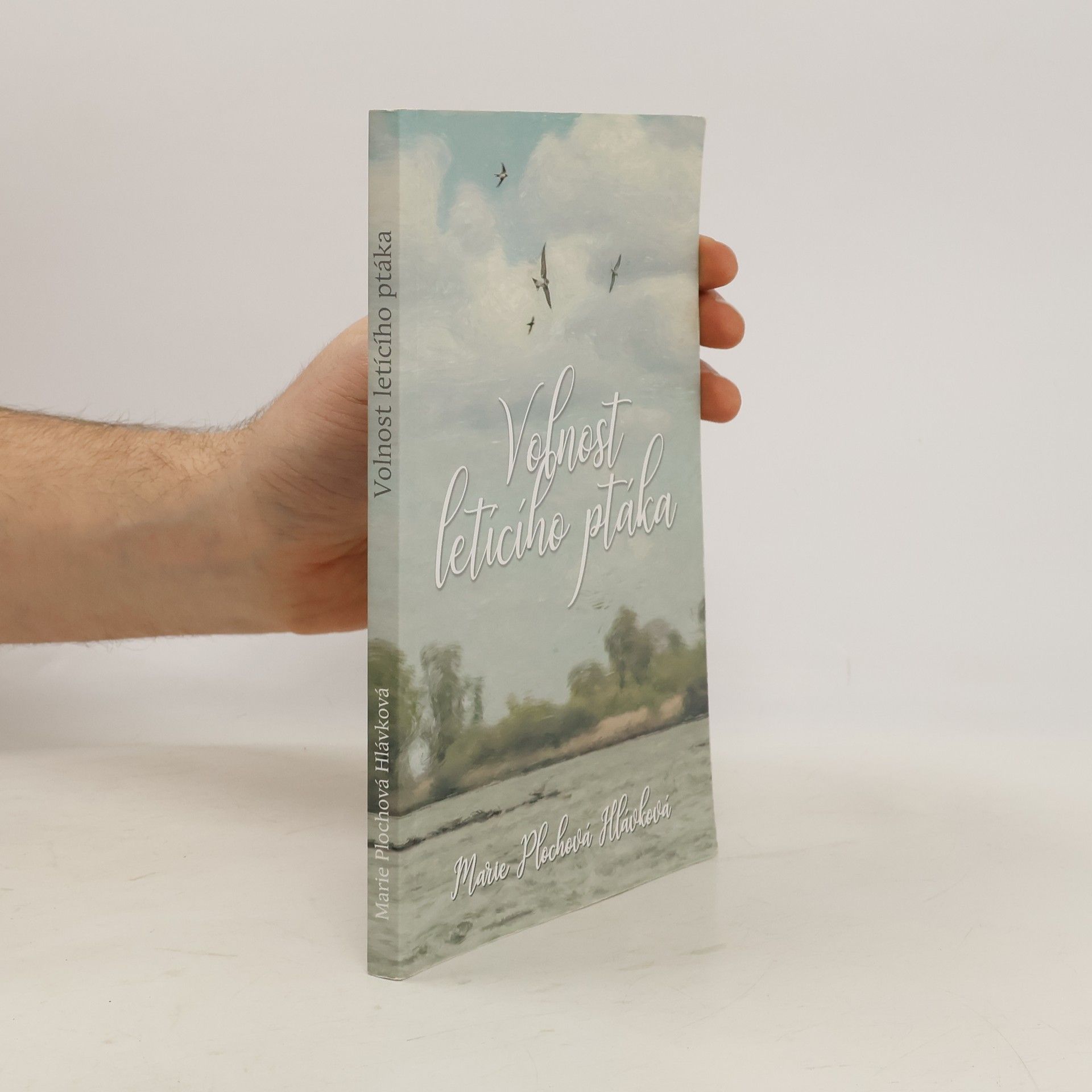 Marie Plochová Hlávková Volnost letícího ptáka