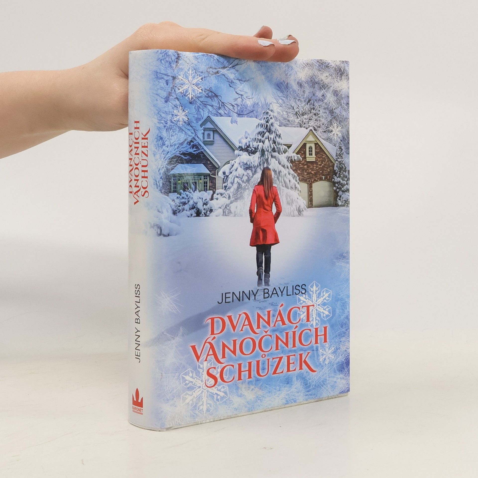 Jenny Bayliss Dvanáct vánočních schůzek