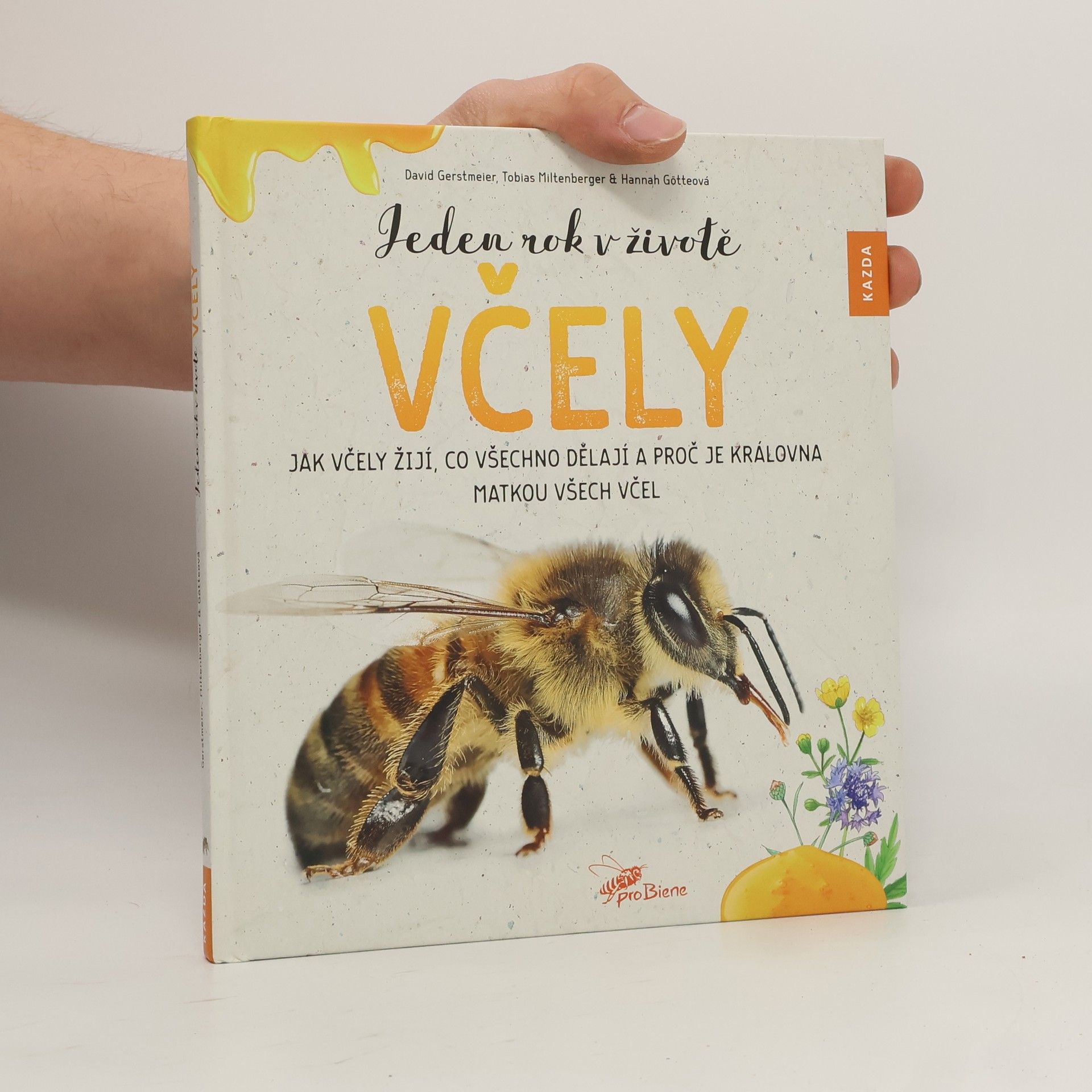 David Gerstmeier Jeden rok v životě včely