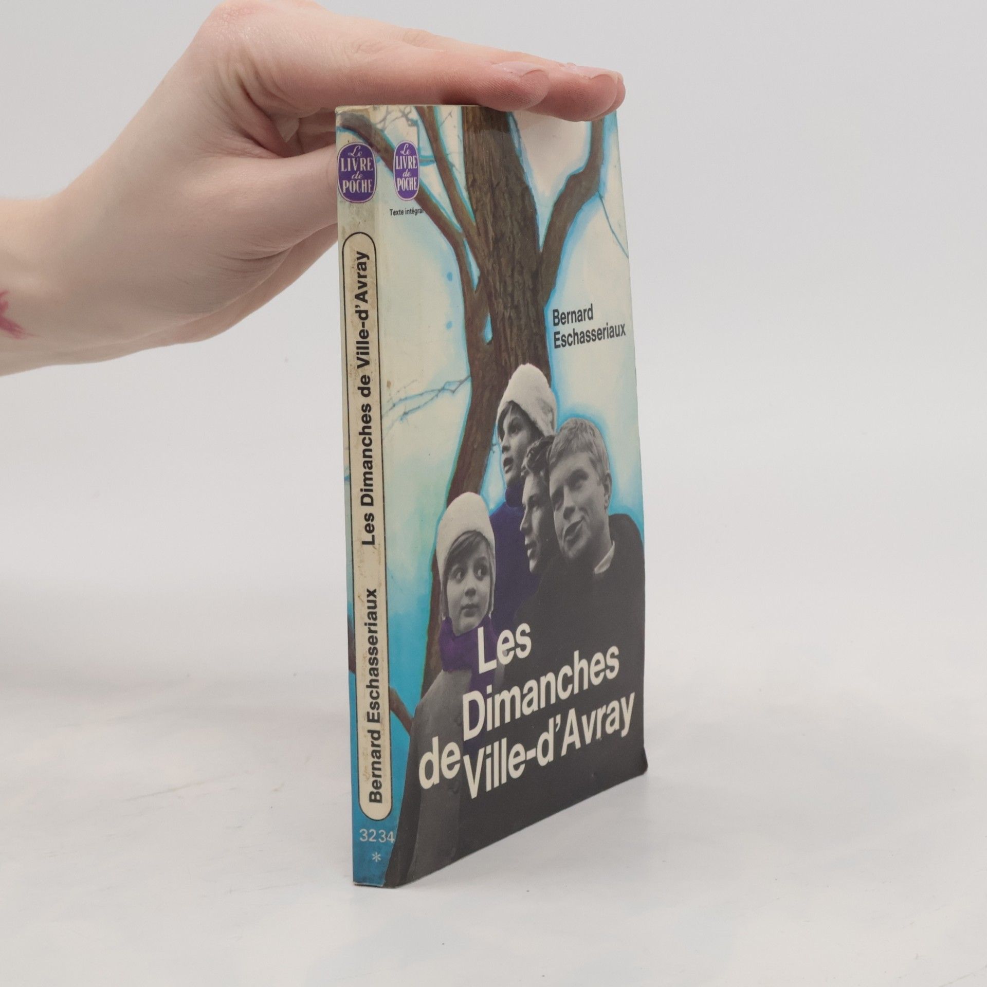 Bernard Eschassériaux Les Dimanches de Ville-d'Avray