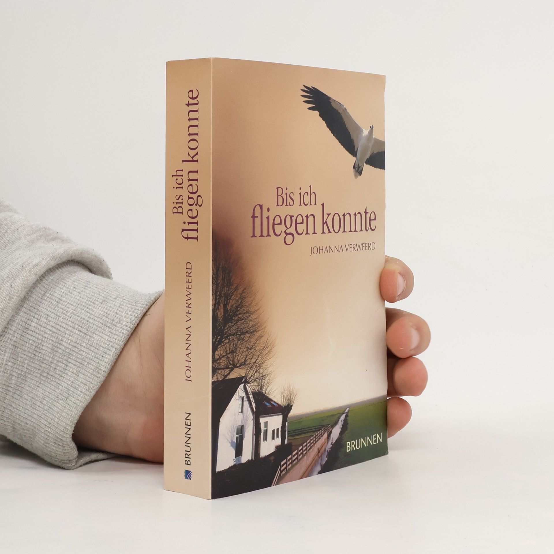 Johanna Verweerd Bis ich fliegen konnte. Roman