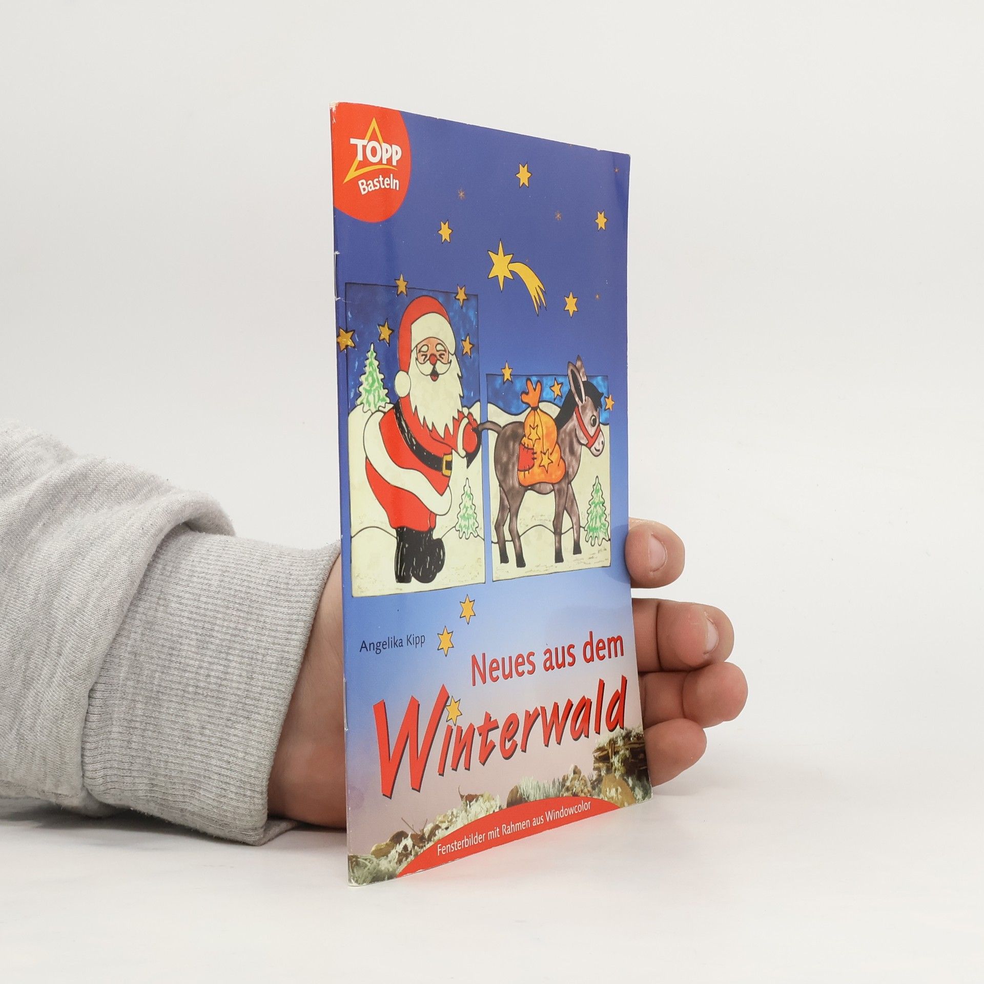 Angelika Kipp Neues aus dem Winterwald