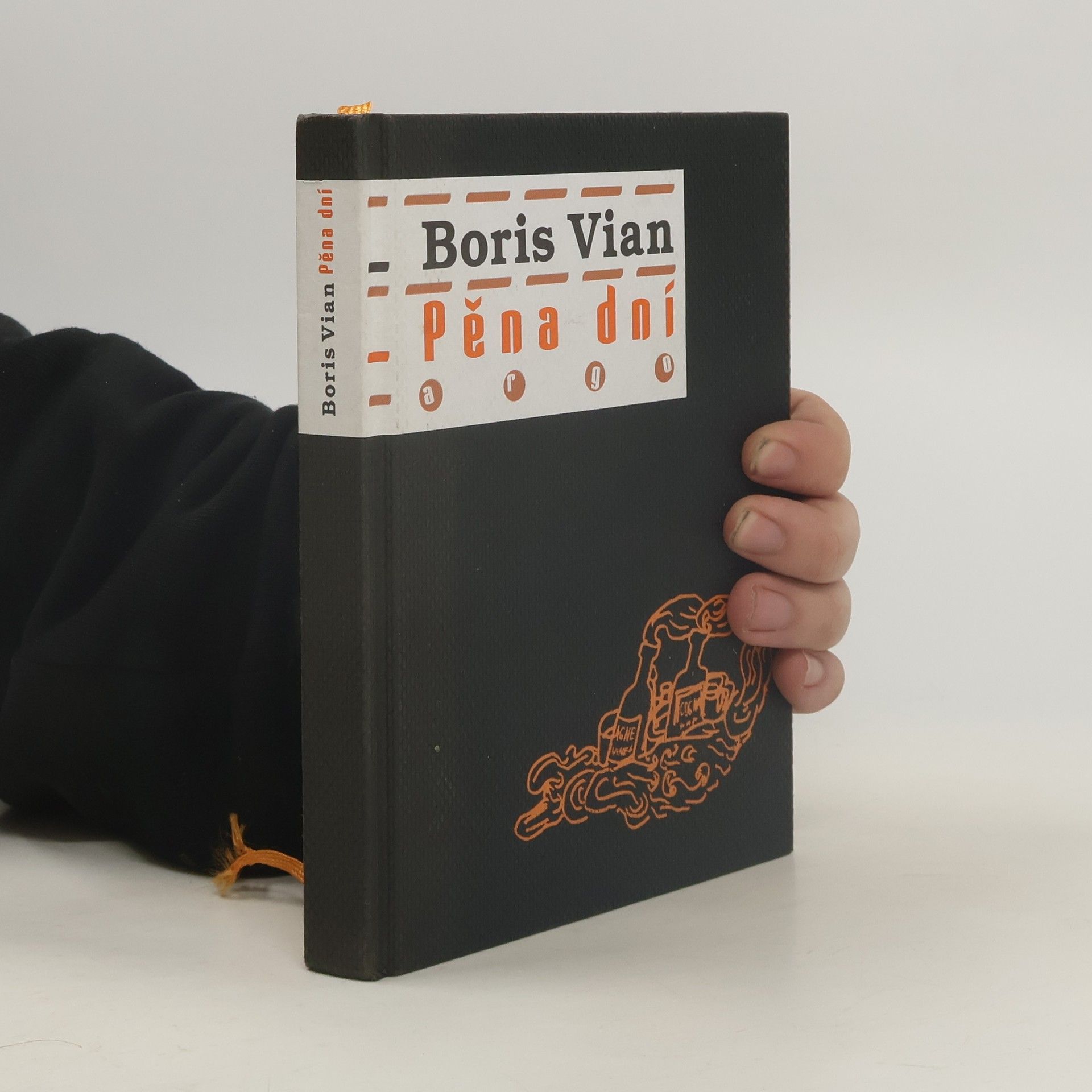 Boris Vian Pěna dní