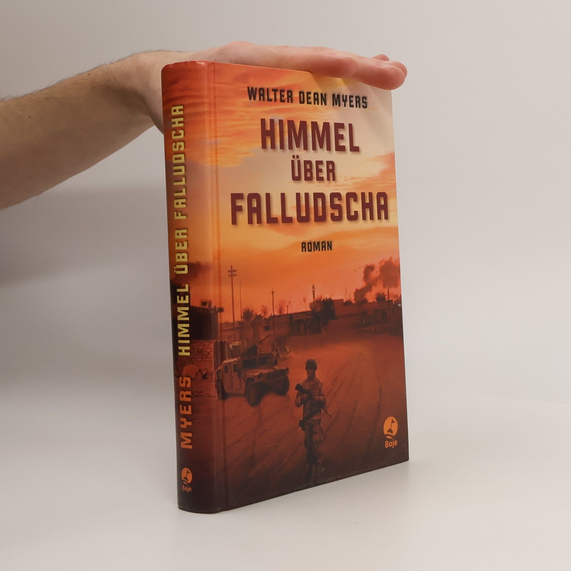 Walter Dean Myers Himmel über Falludscha