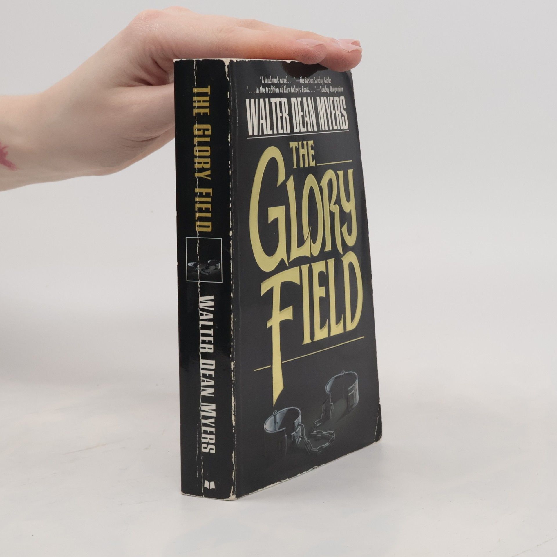 Walter Dean Myers The Glory Field