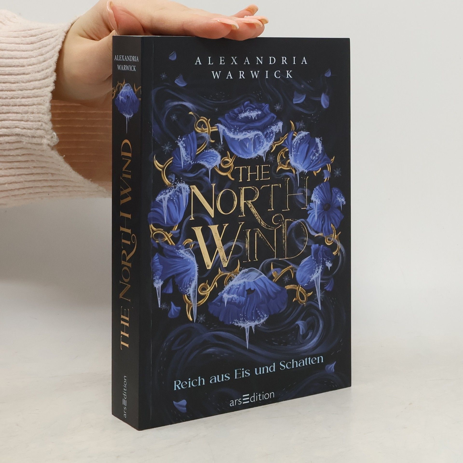 Alexandria Warwick The North Wind - Reich aus Eis und Schatten