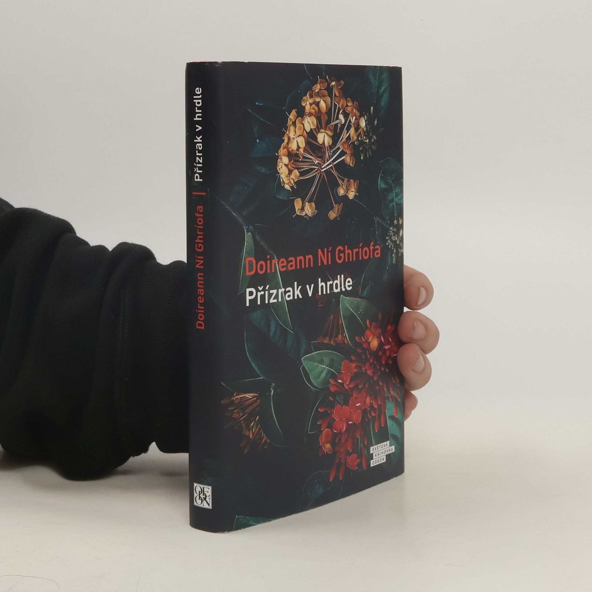 Doireann Ní Ghríofa Přízrak v hrdle