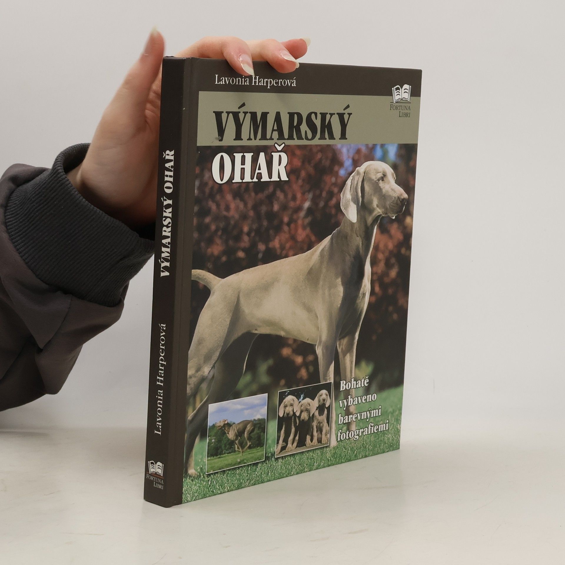 Lavonia Harper Výmarský ohař