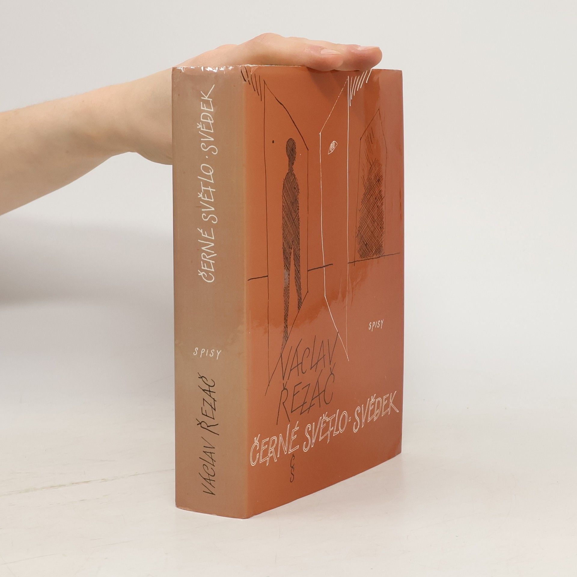 Václav Řezáč Černé světlo. Svědek