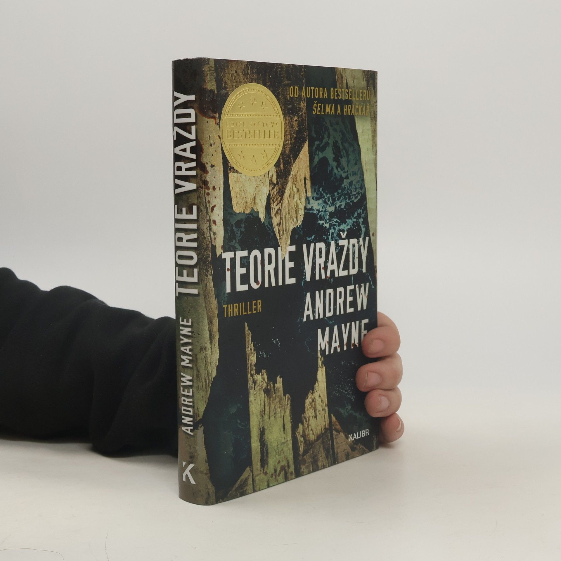 Andrew Mayne Teorie vraždy