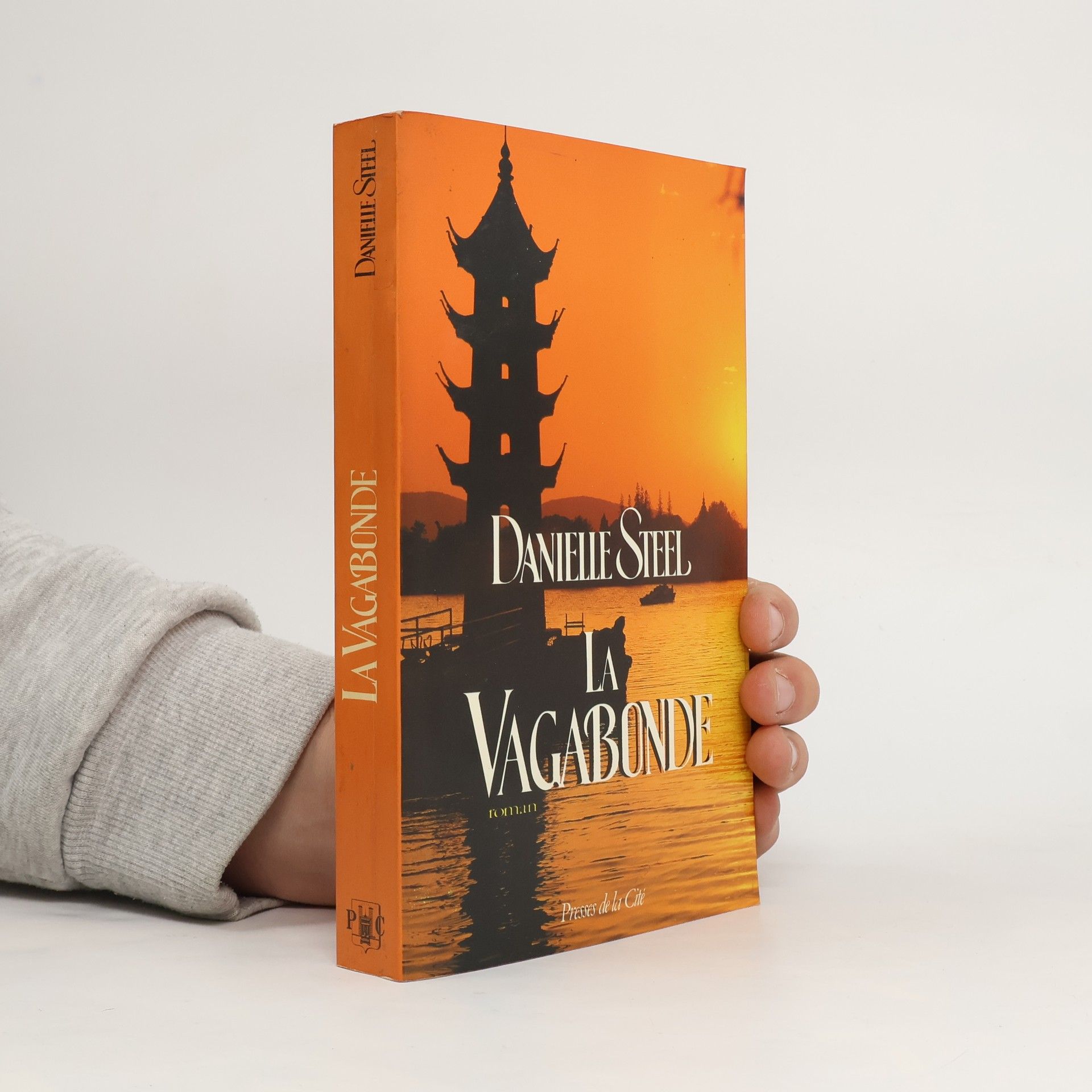 Danielle Steel La Vagabonde