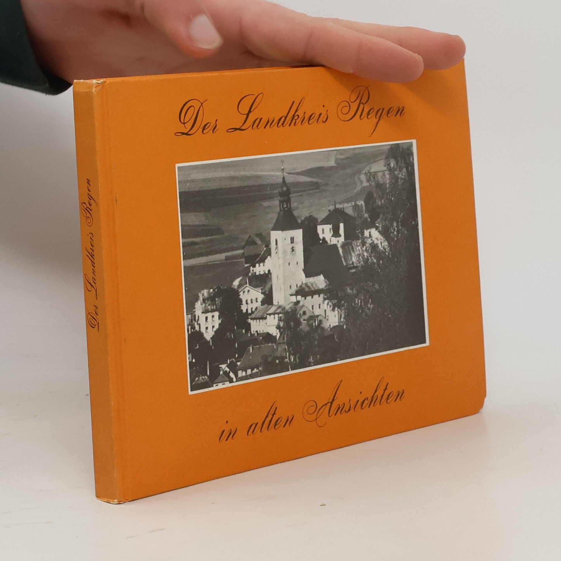 Horst Sauer Der Landkreis Regen in alten Ansichten