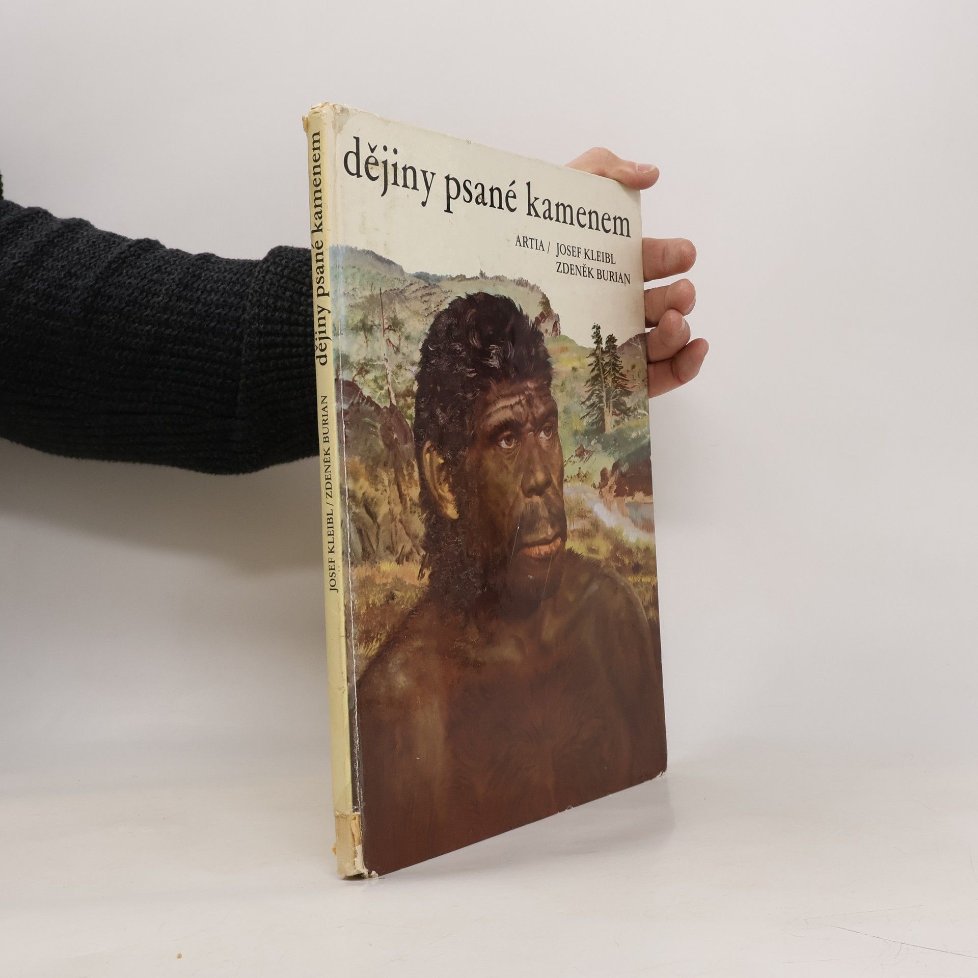 Dějiny psané kamenem