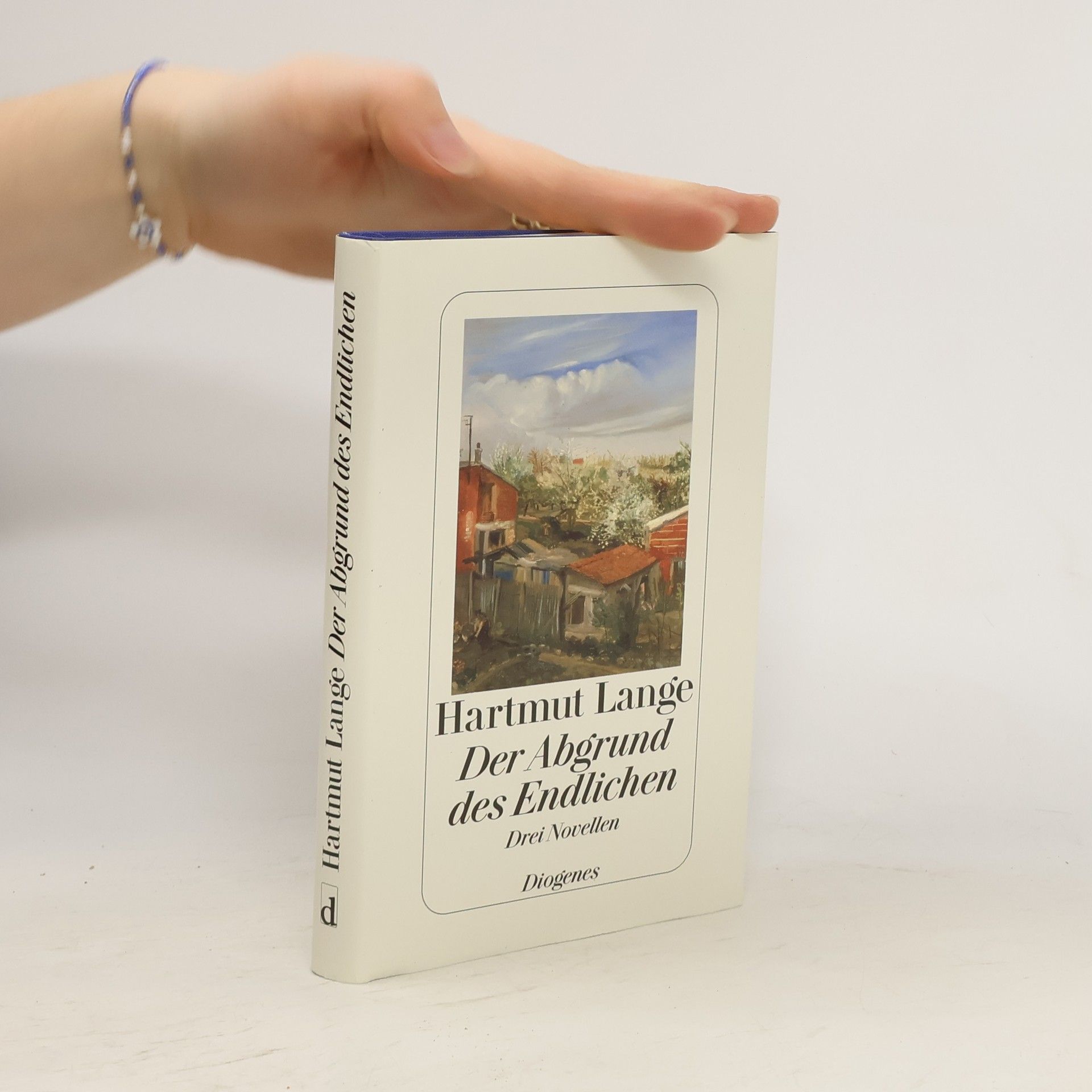 Hartmut Lange Der Abgrund des Endlichen
