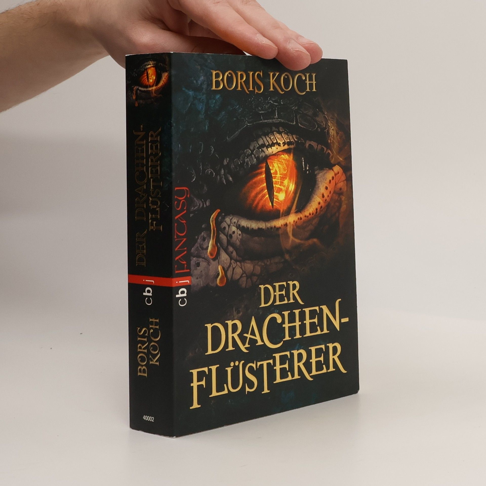 Boris Koch Der Drachenflüsterer