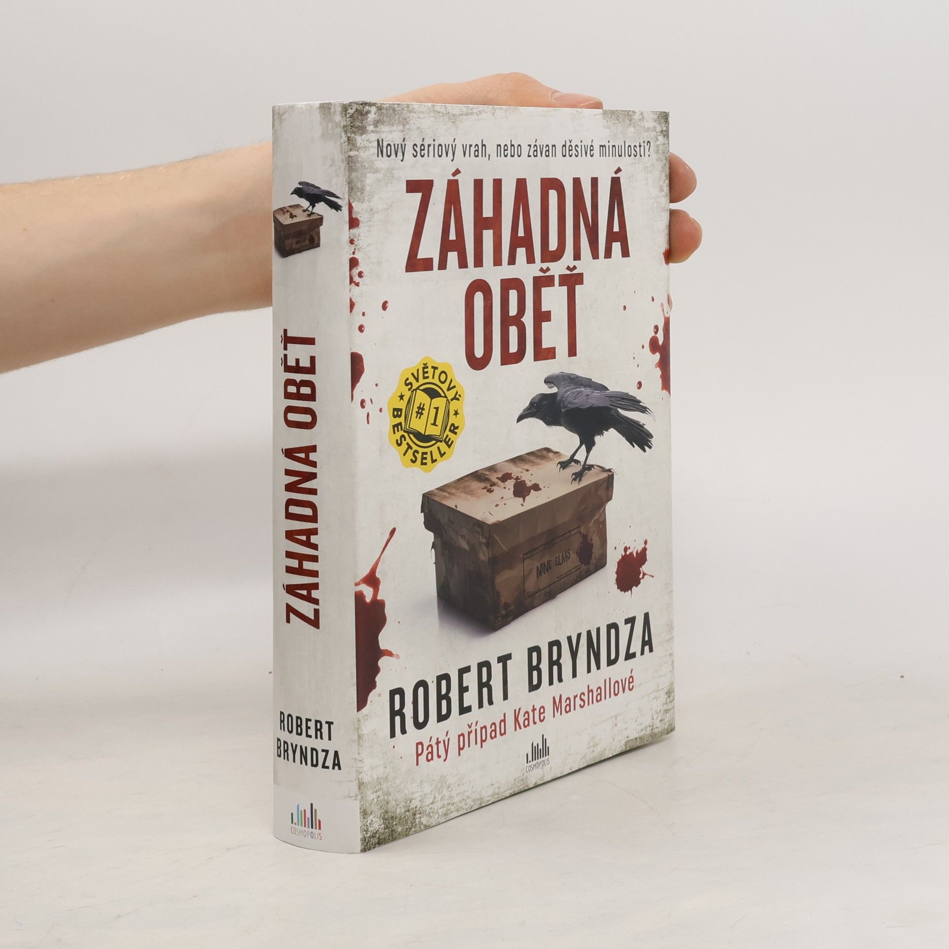 Robert Bryndza Záhadná oběť