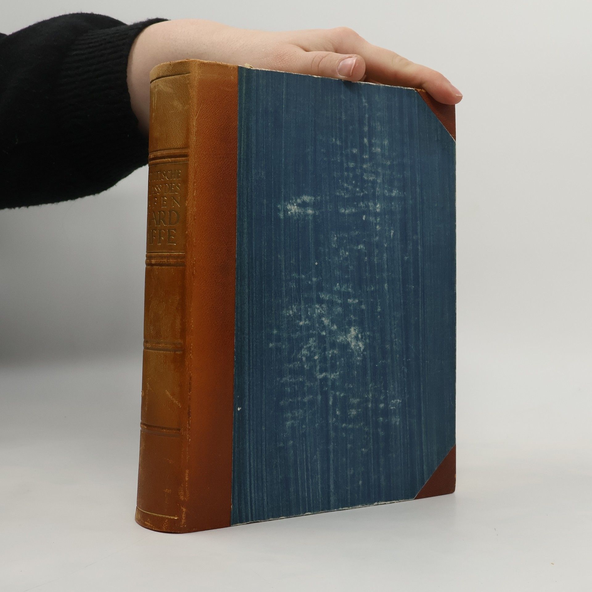 Arthur Skedl Der politische Nachlaß des Grafen Eduard Taaffe