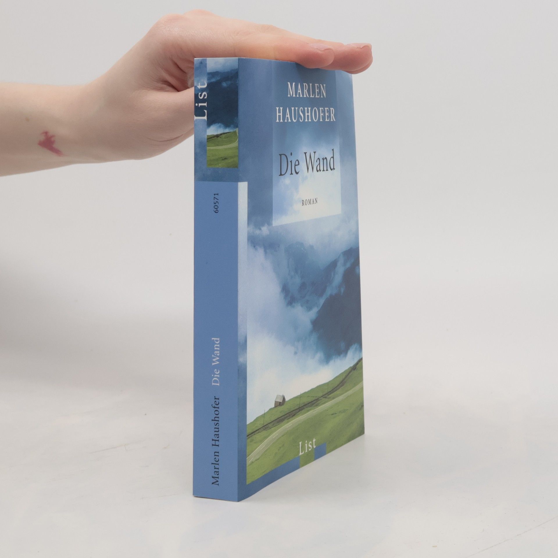 Marlen Haushofer Die Wand