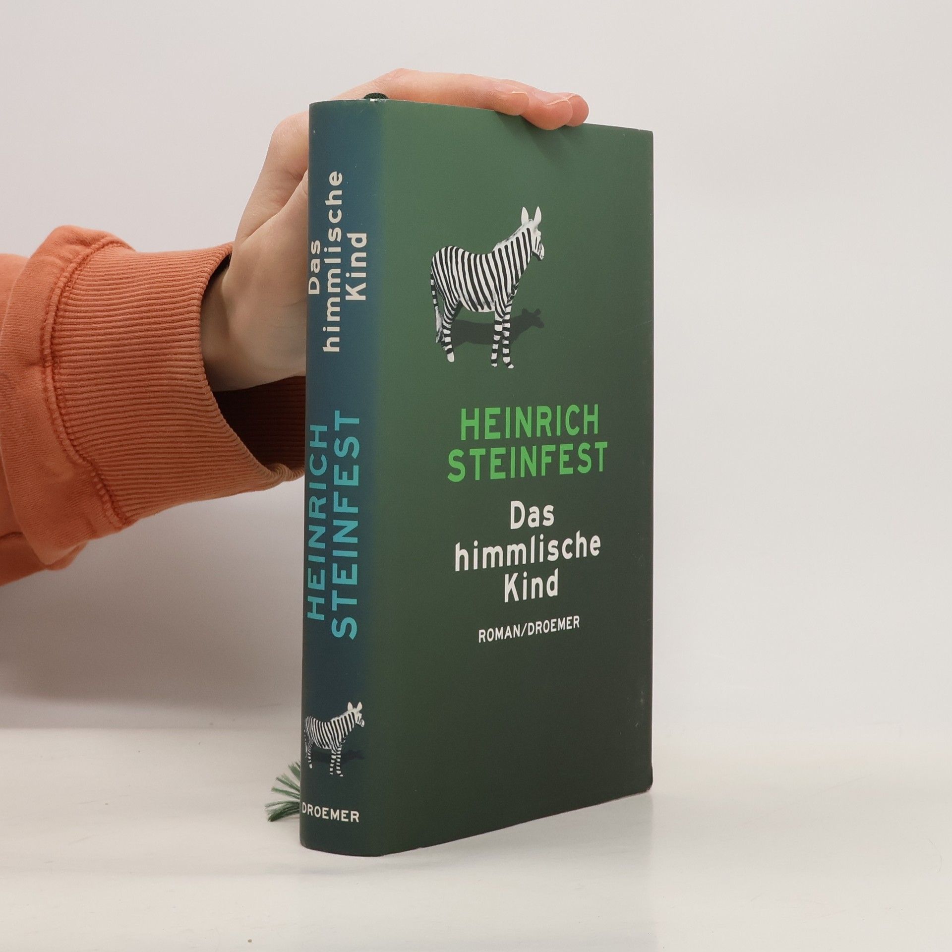 Heinrich Steinfest Das himmlische Kind