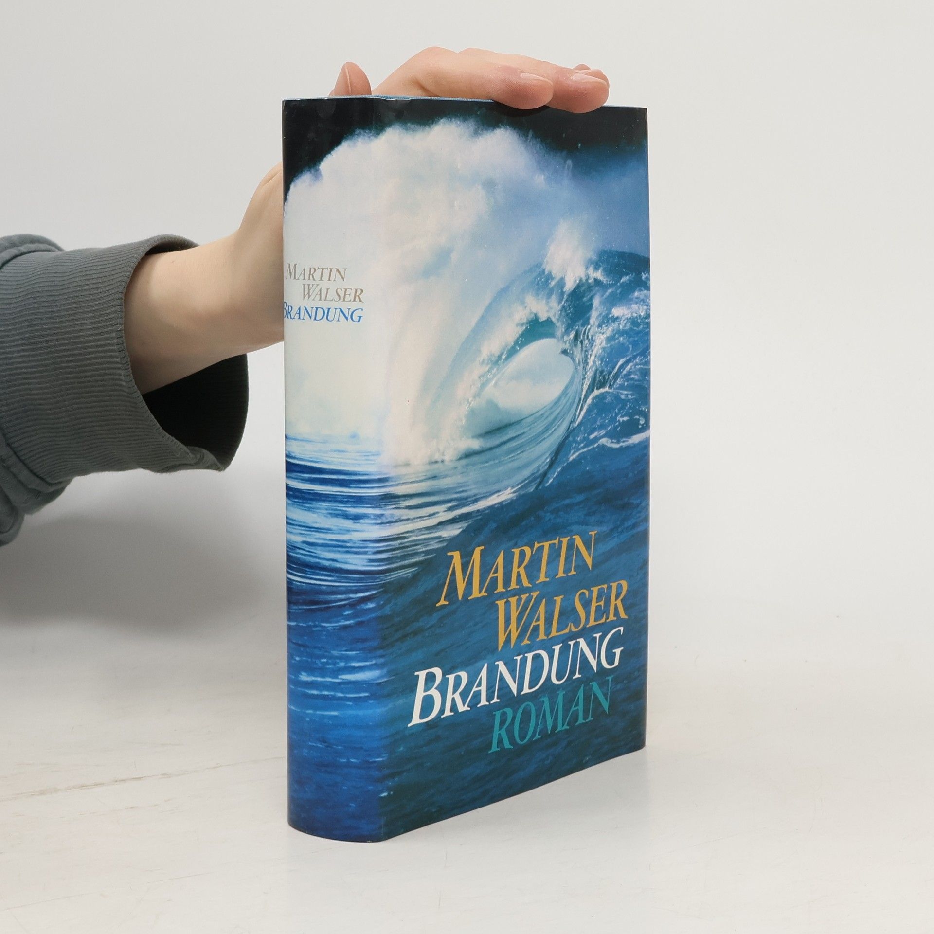 Martin Walser Brandung