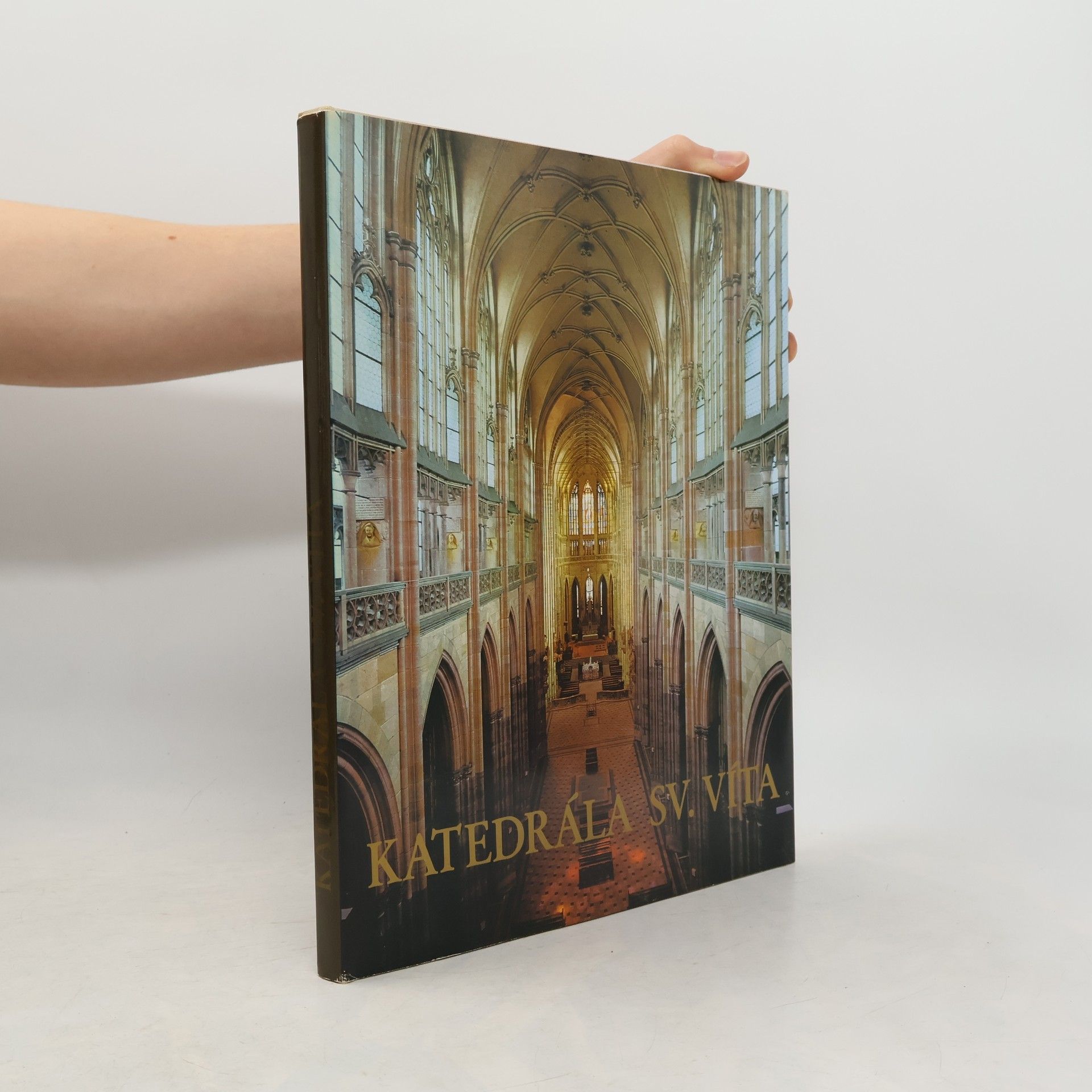 Katedrála sv. Víta