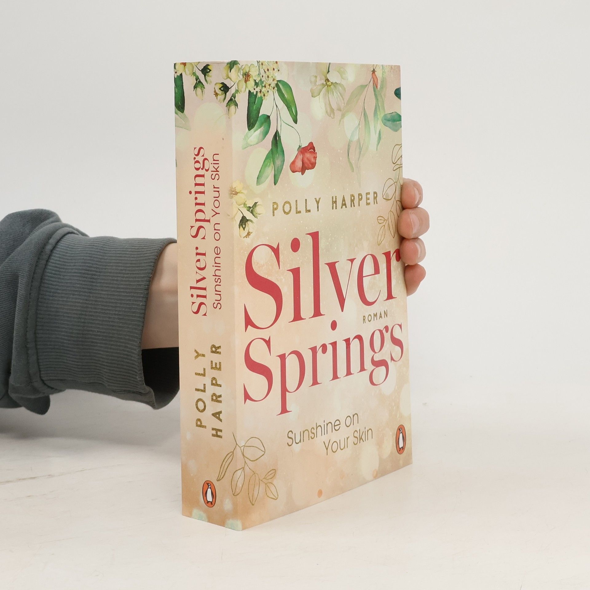 Silver Springs - Sunshine on your Skin