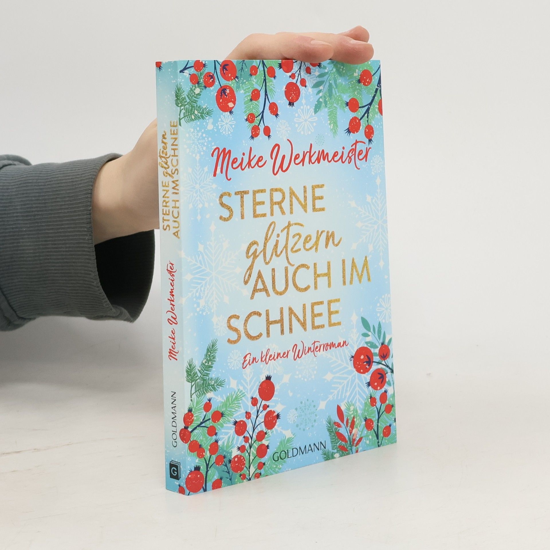 Meike Werkmeister Sterne glitzern auch im Schnee