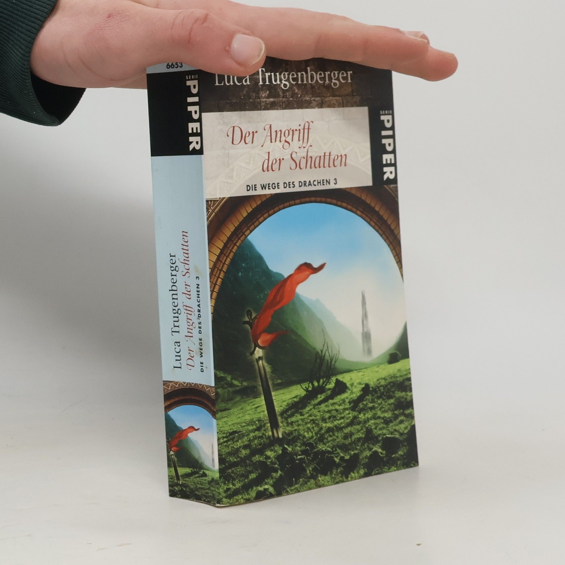 Luca Trugenberger Der Angriff der Schatten. Die Wege des Drachen 3