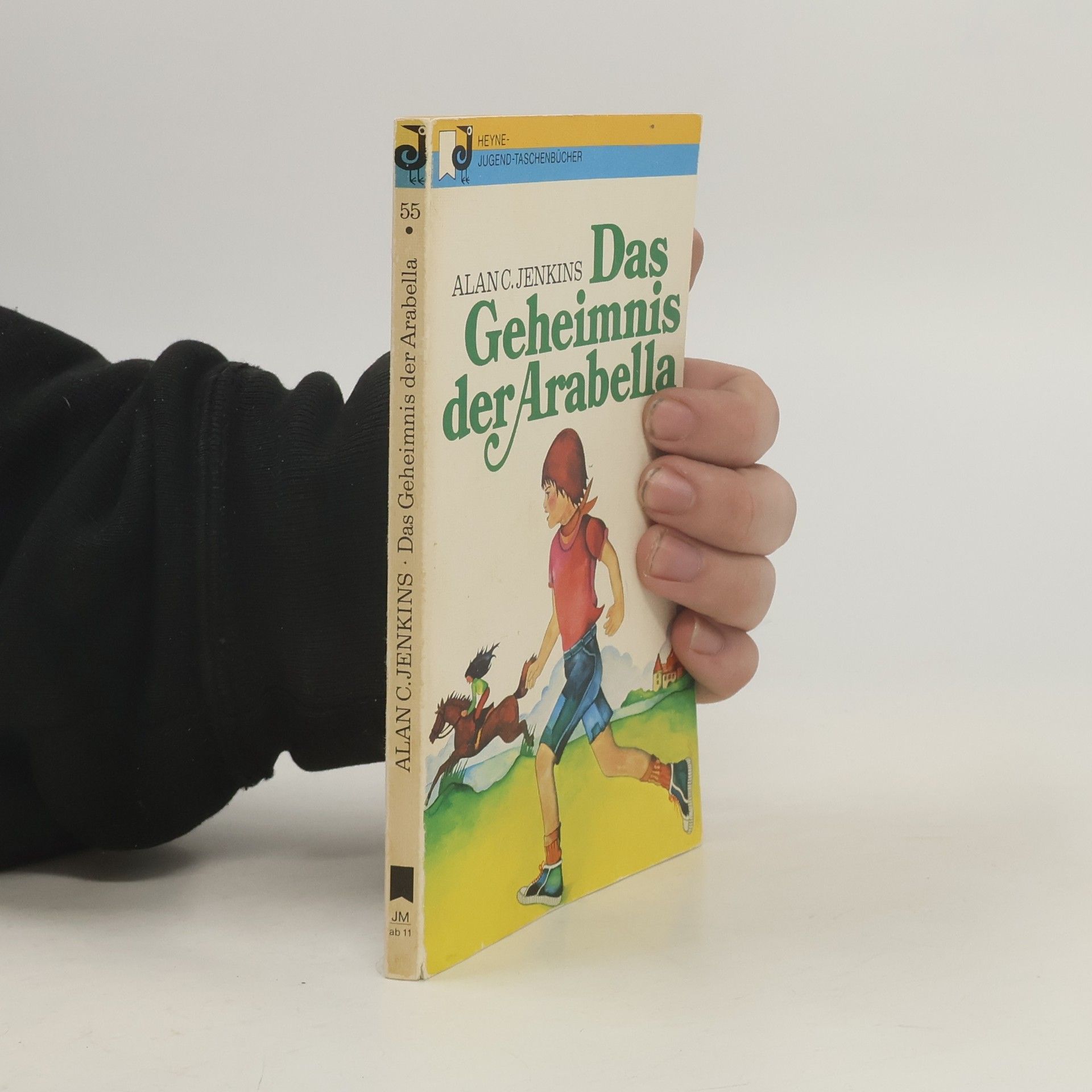 Alan Charles Jenkins Das Geheimnis der Arabella