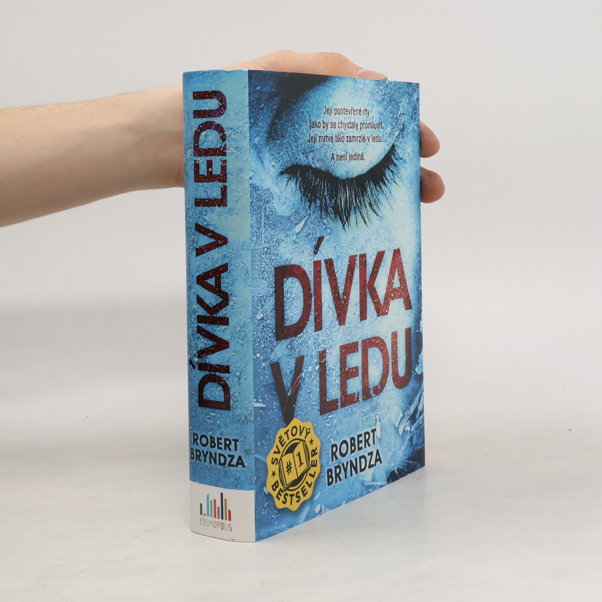 Robert Bryndza Dívka v ledu