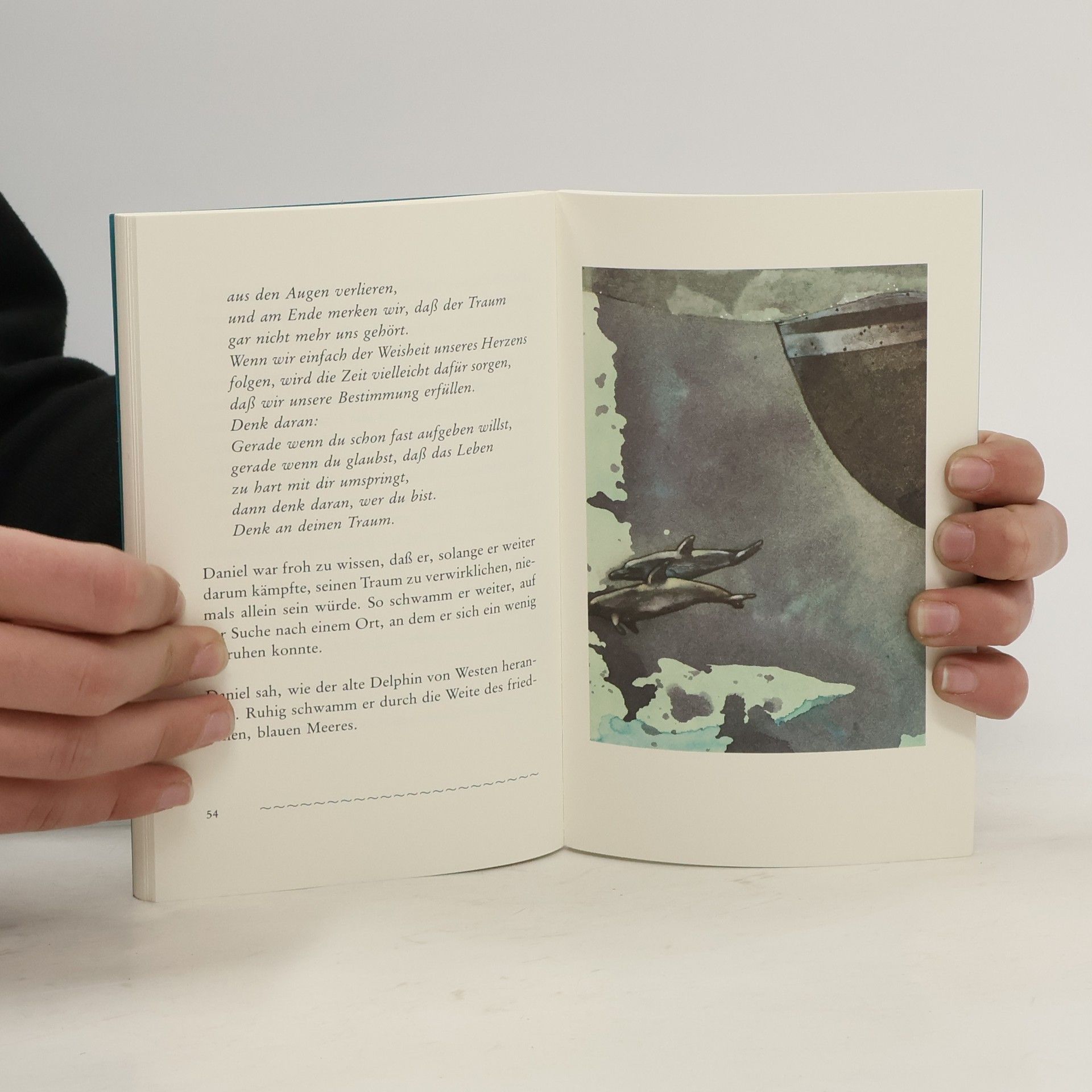 Sergio Bambaren Der träumende Delphin. Eine magische Reise zu dir selbst