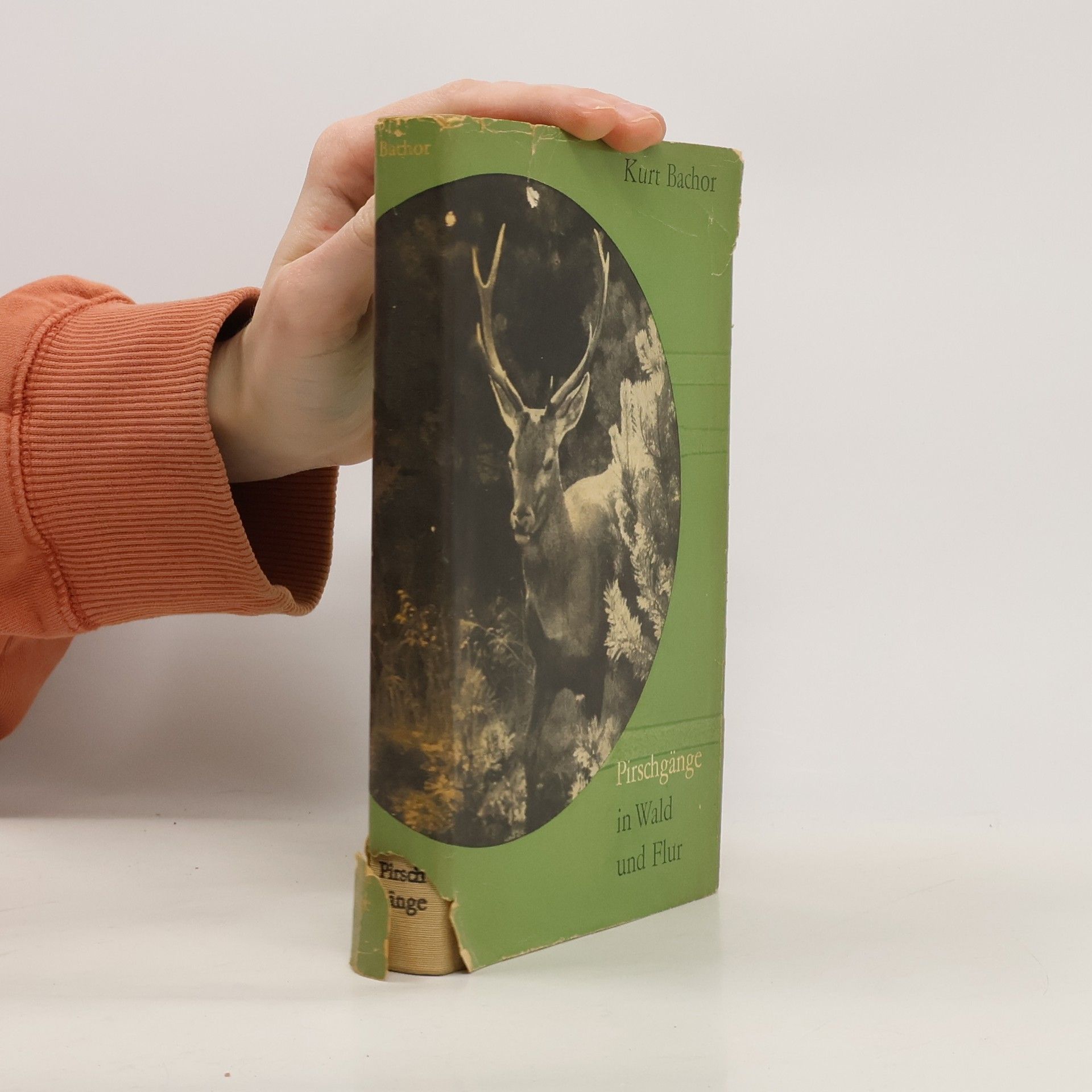 Kurt Bachor Pirschgänge in Wald und Flur