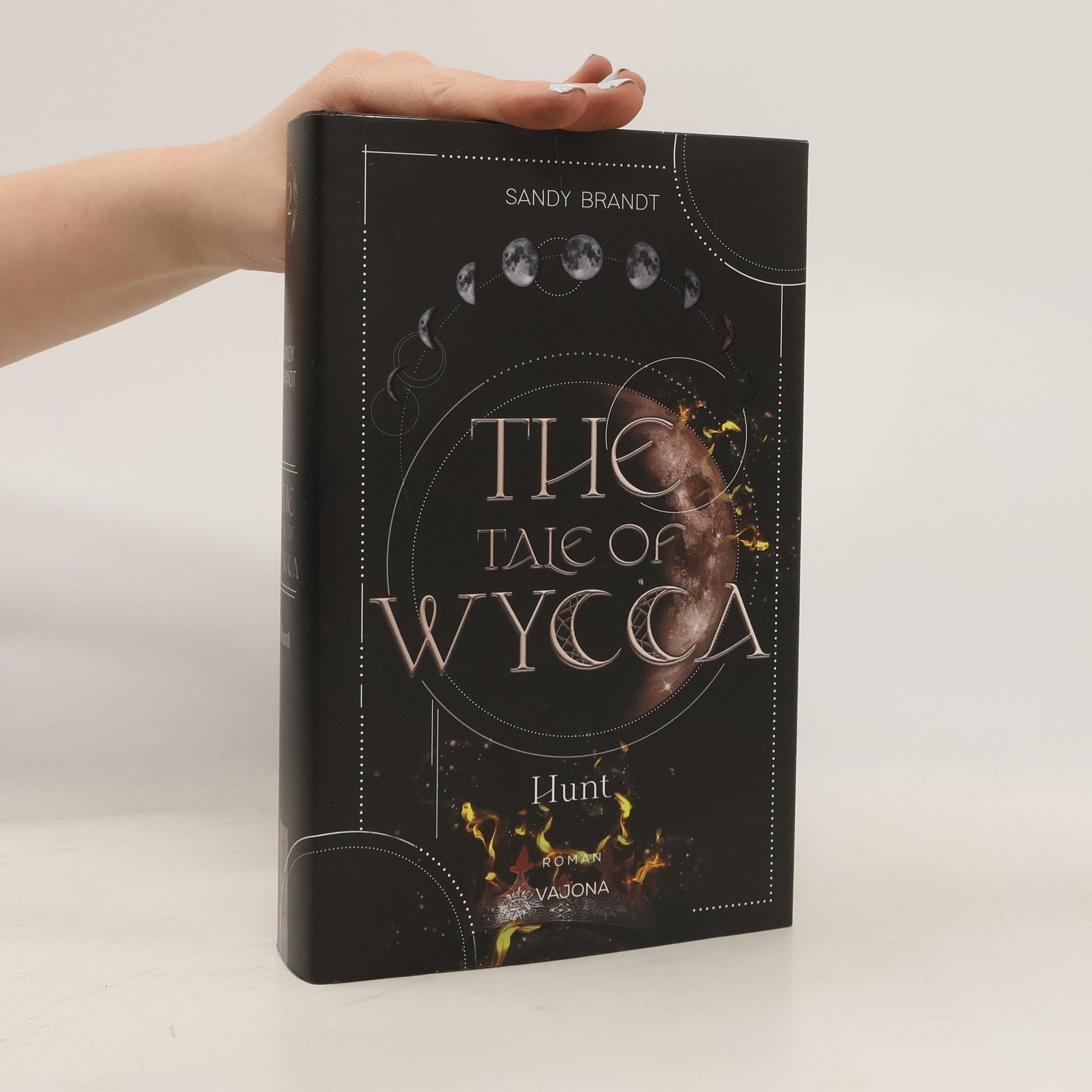 Sandy Brandt THE TALE OF WYCCA: Hunt (WYCCA-Reihe 2)