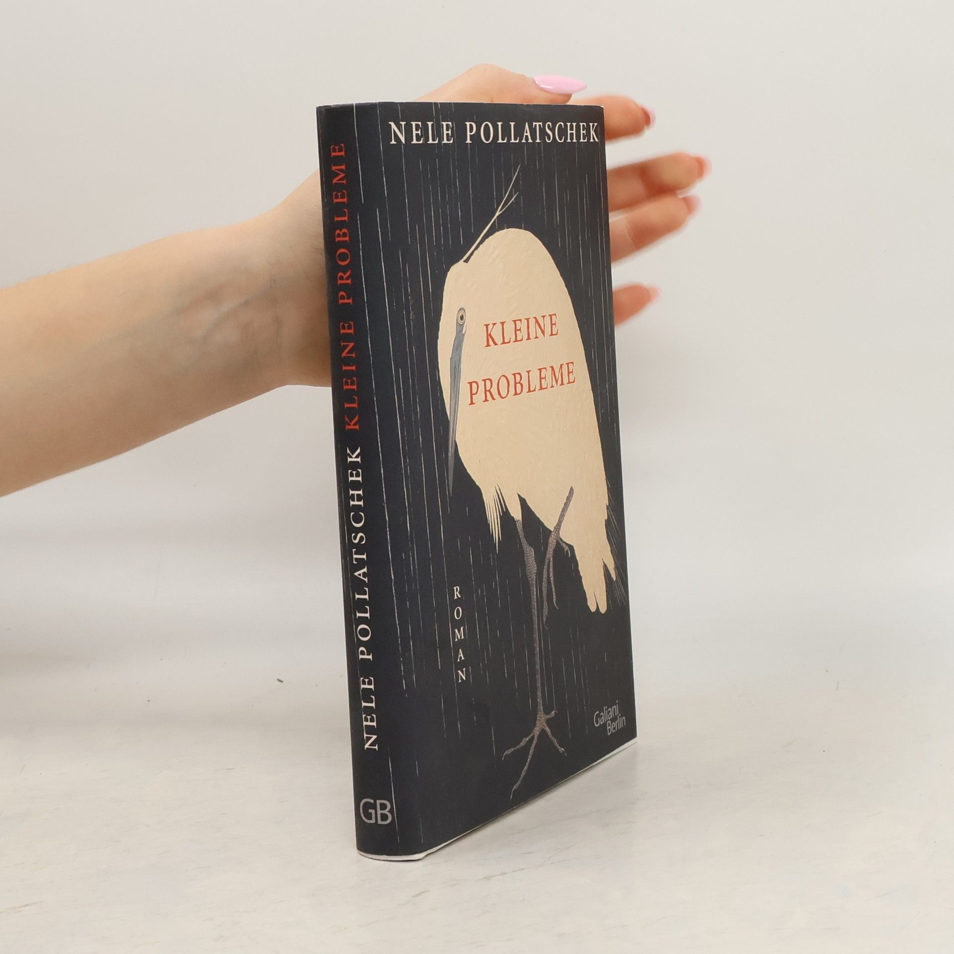 Nele Pollatschek Kleine Probleme