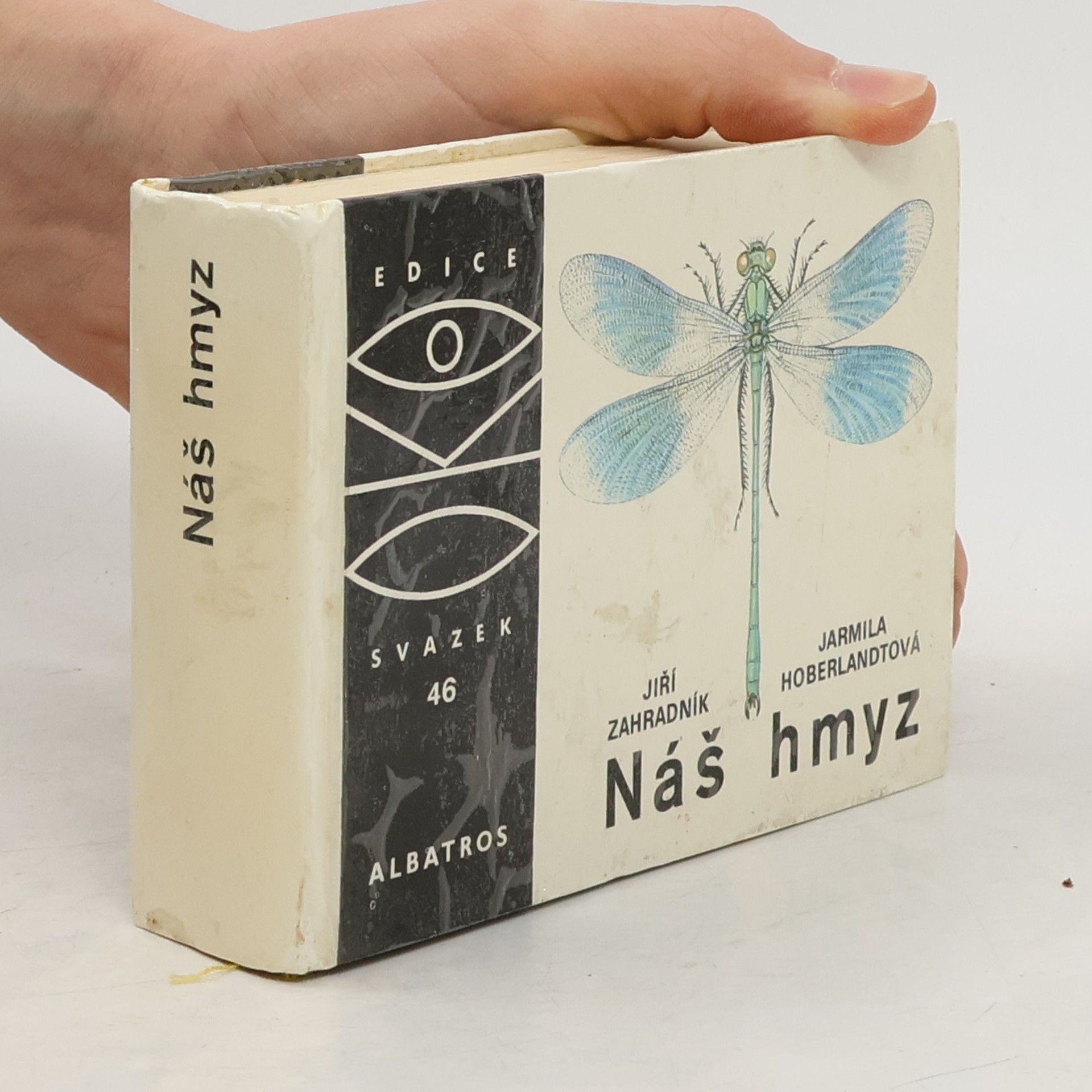 Jarmila Hoberlandtová Náš hmyz