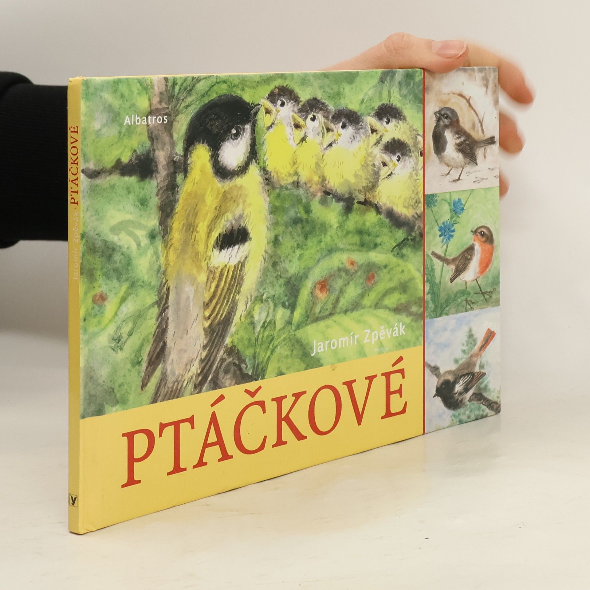 Jaromír Zpěvák Ptáčkové