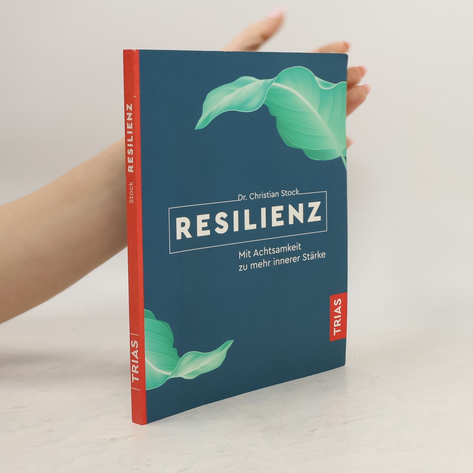 Dr. Christian Stock Resilienz