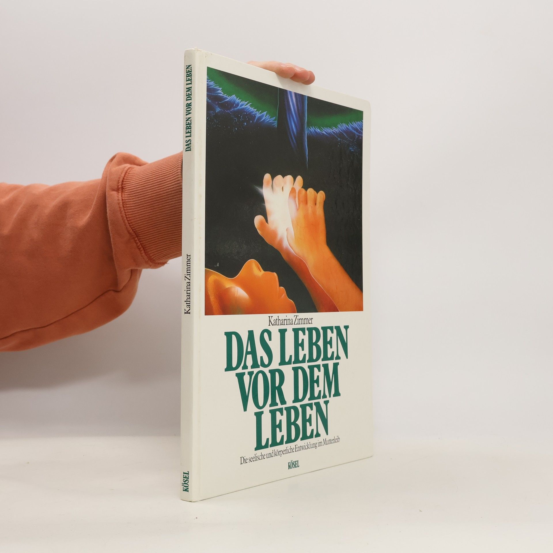 Katharina Zimmer Das Leben vor dem Leben