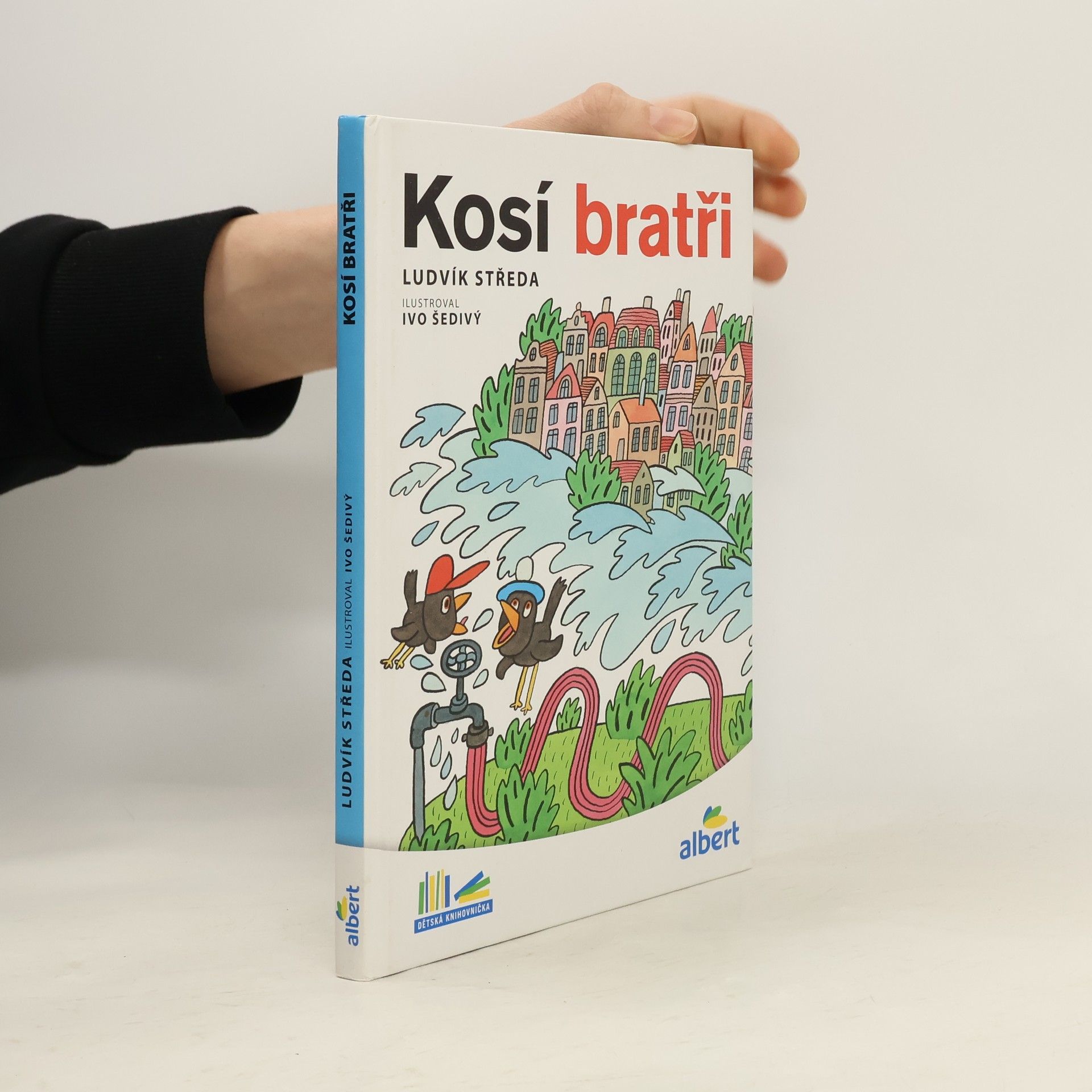 Ludvík Středa Kosí bratři