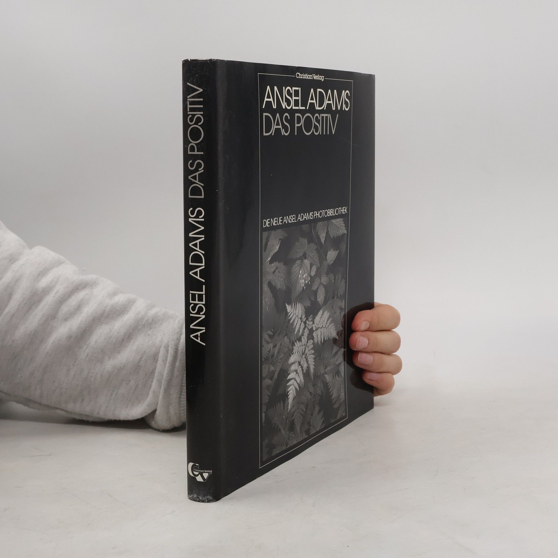 Ansel Adams Das Positiv als photographisches Bild