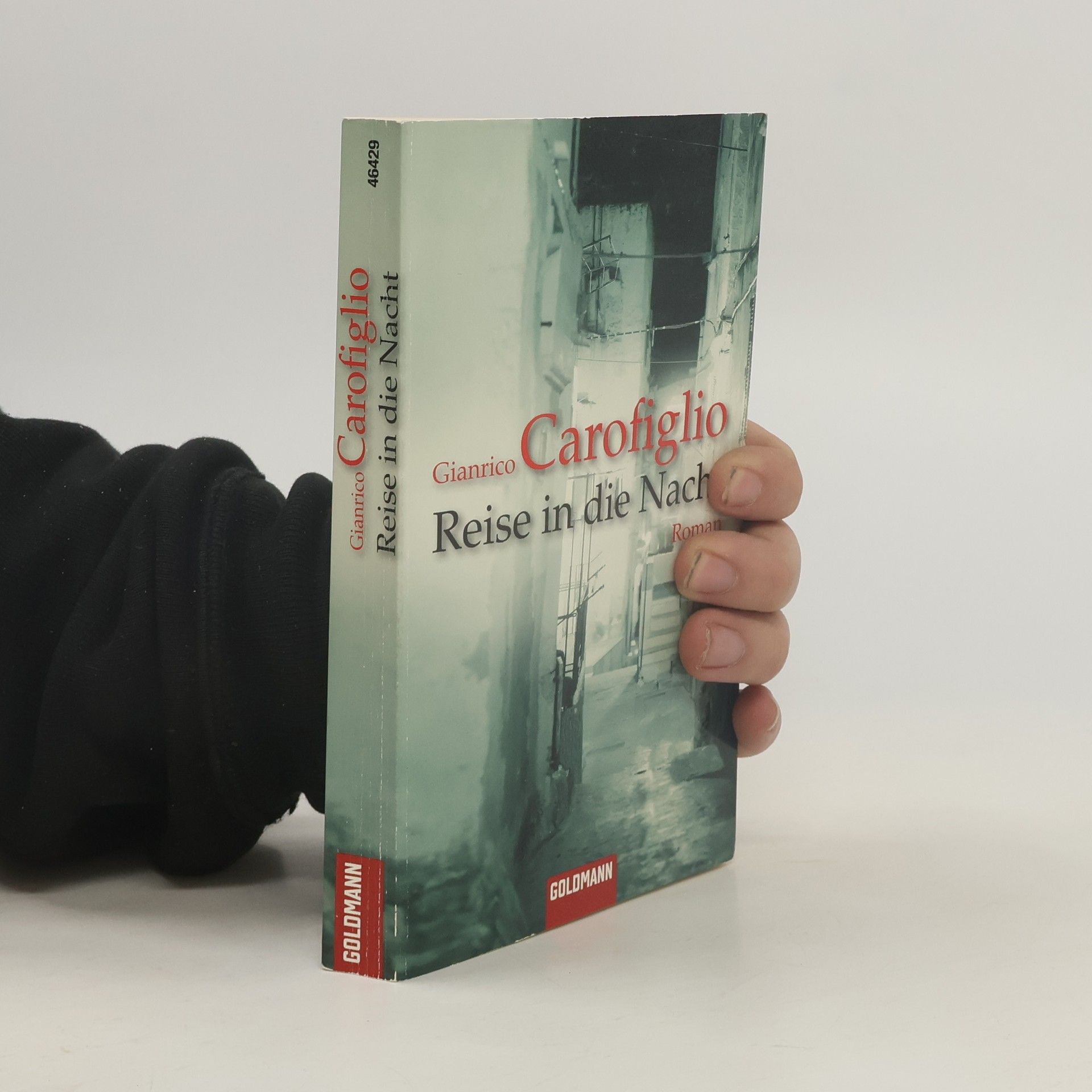 Gianrico Carofiglio Reise in die Nacht