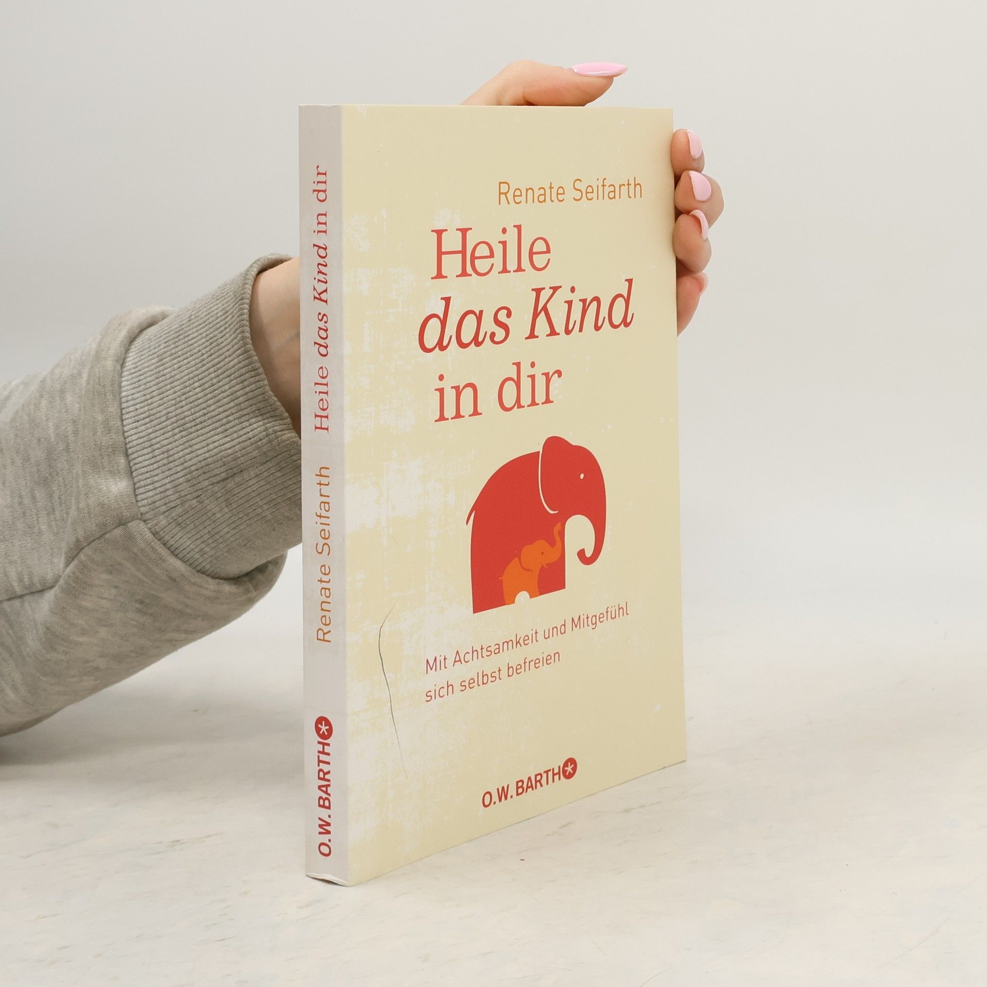 Renate Seifarth Heile das Kind in dir