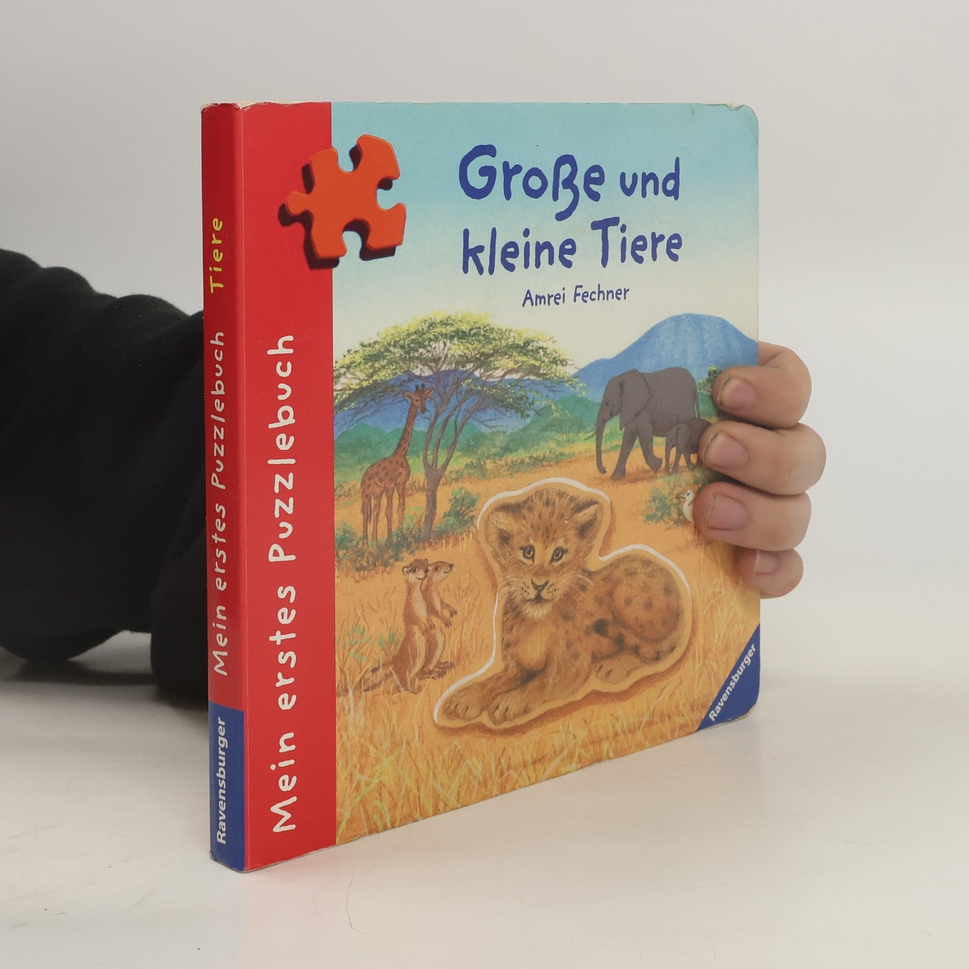 Amrei Fechner Große und kleine Tiere