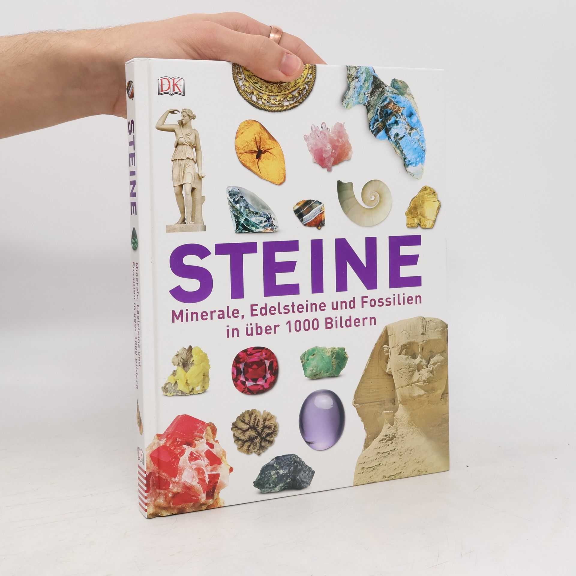 June Green Dan Steine