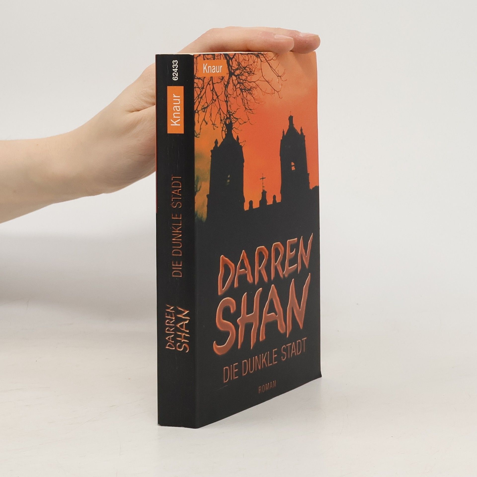 Darren O'Shaughnessy Die dunkle Stadt