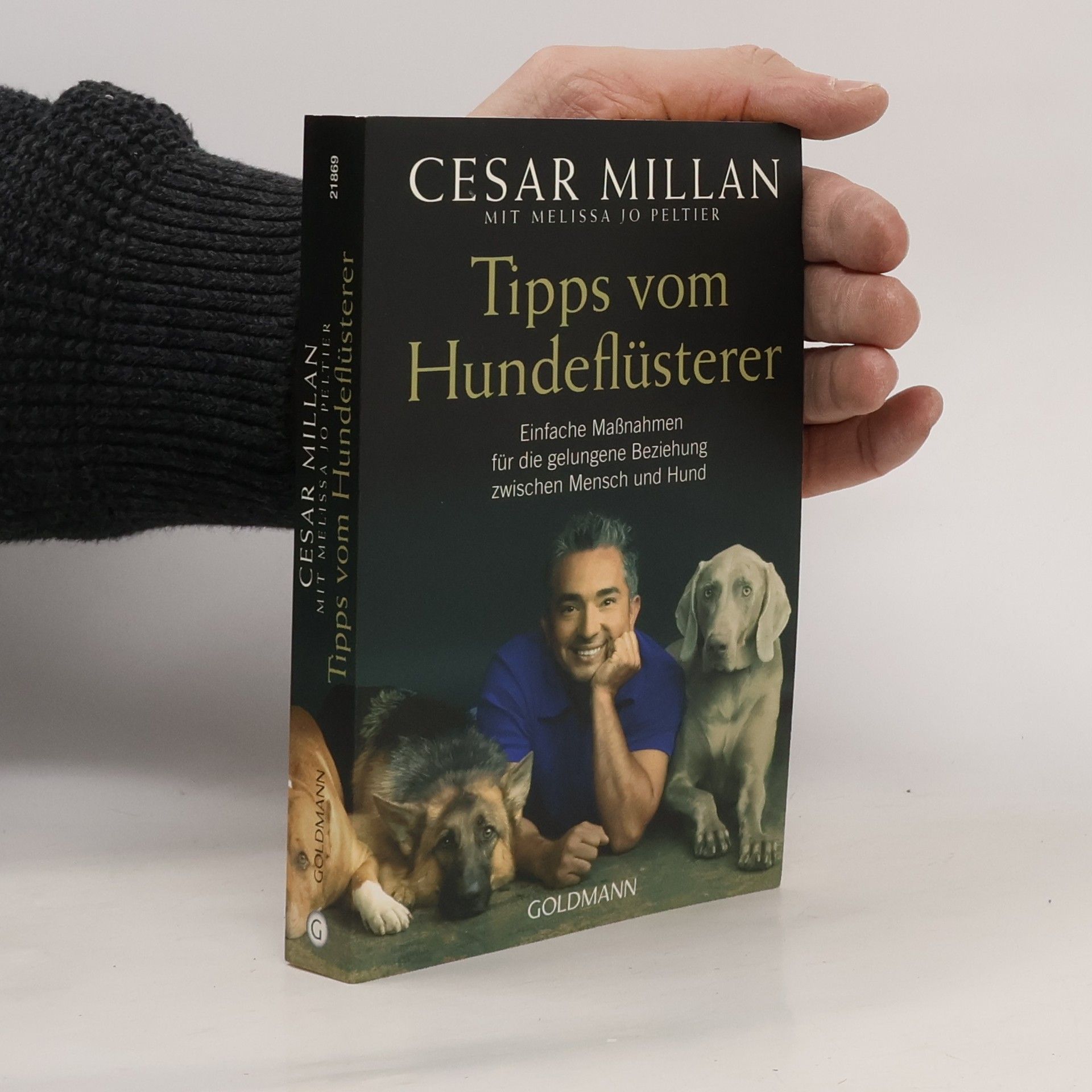 Cesar Millan Tipps vom Hundeflüsterer