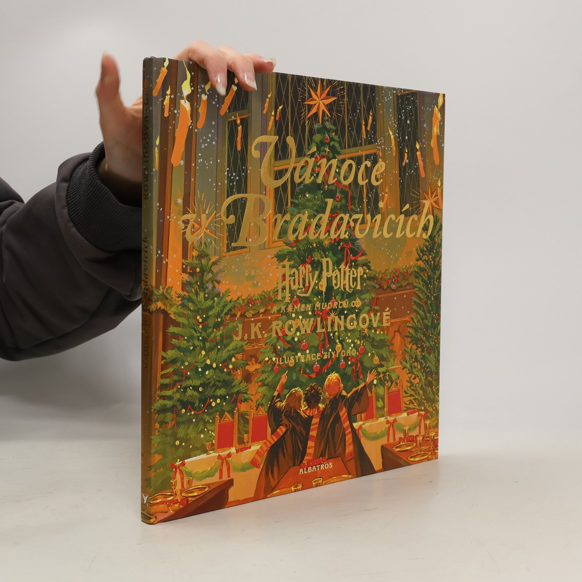 Joanne K. Rowlingová Vánoce v Bradavicích