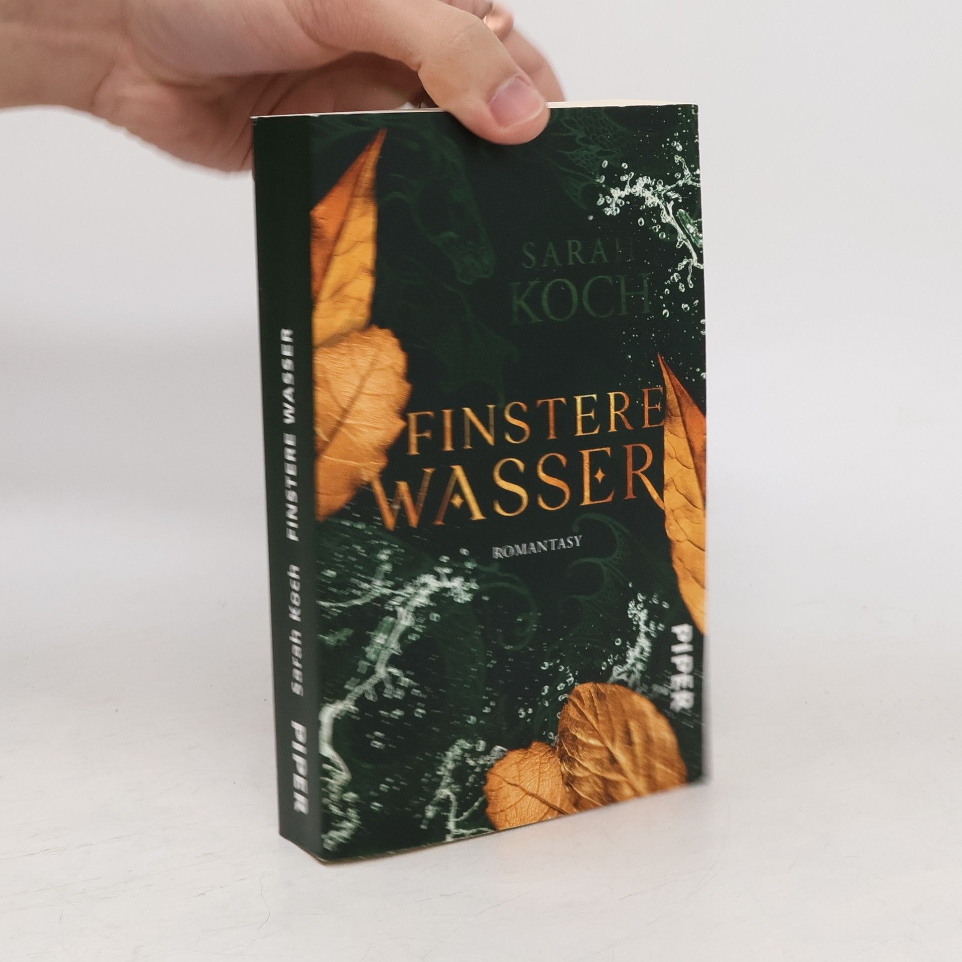 Sarah Koch Finstere Wasser
