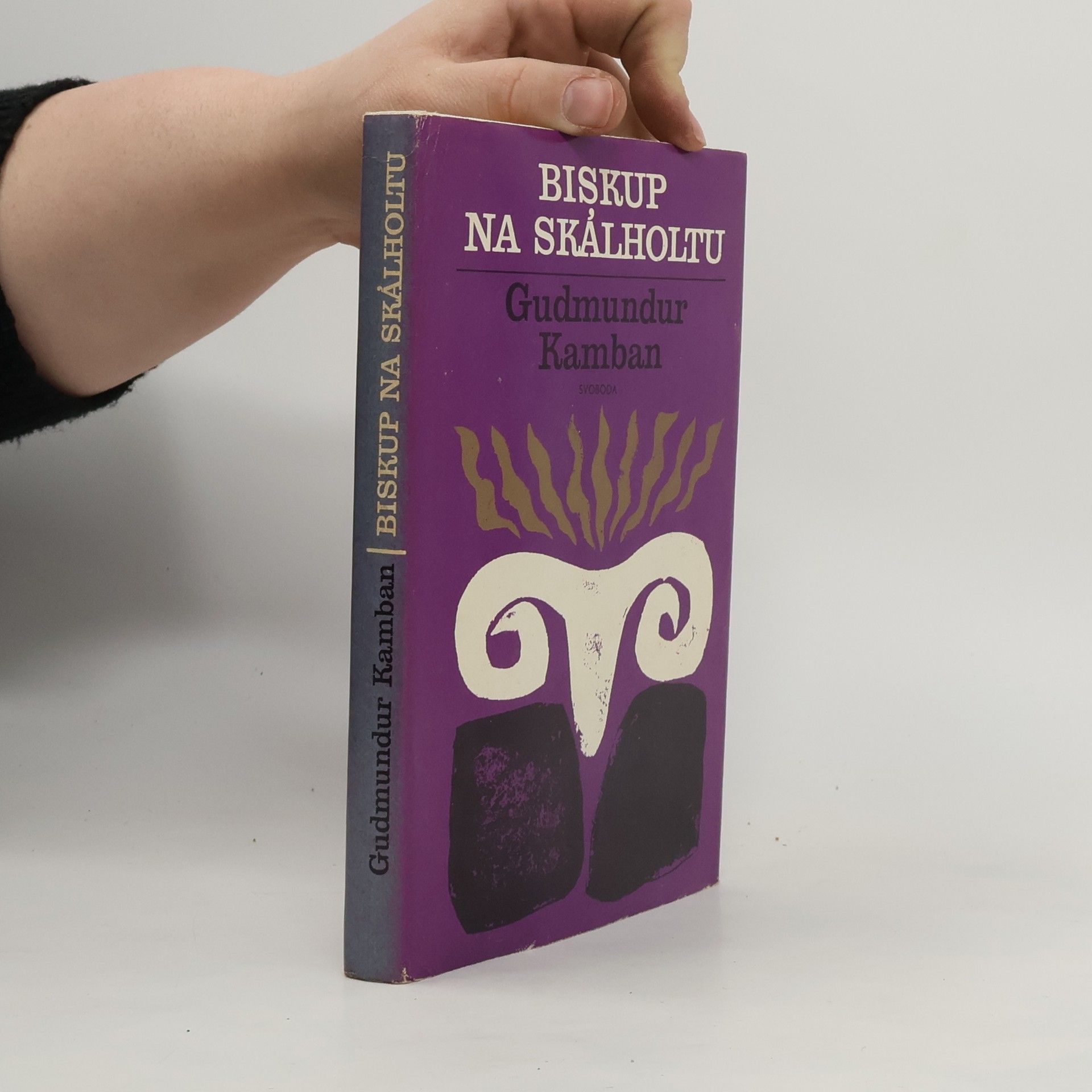 Biskup na Skálholtu