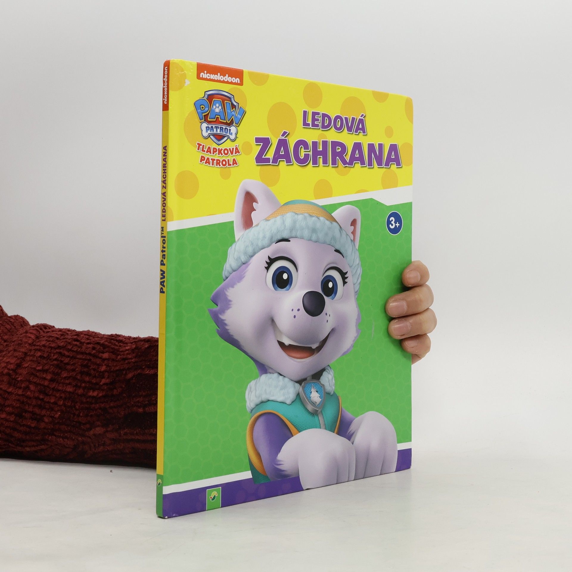 Kolektiv autorů Tlapková patrola. Ledová záchrana